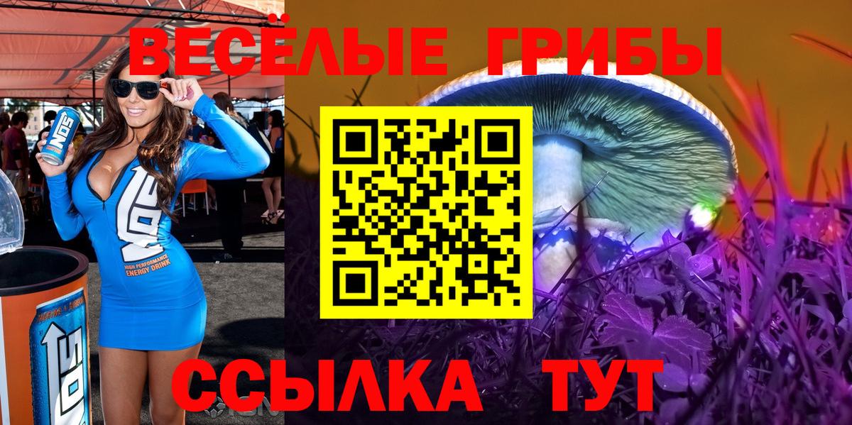Ишим  Псилоцибиновые грибы ЛСД  Вход с VPN 