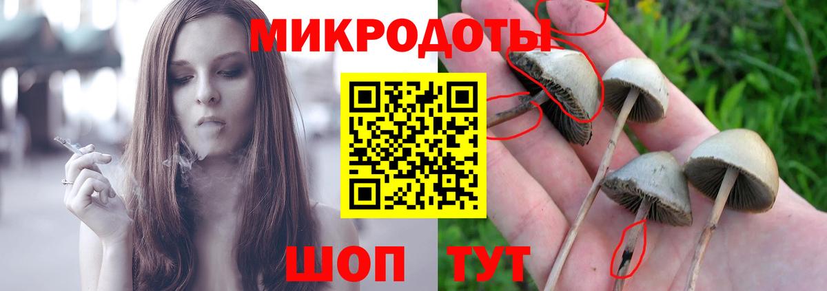 Псилоцибиновые грибы мицелий Ишим